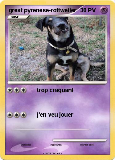 Pokemon great pyrenese-rottweiler