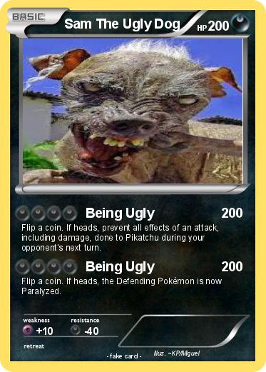 Pokemon Sam The Ugly Dog
