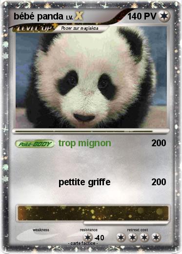 Pokemon bébé panda