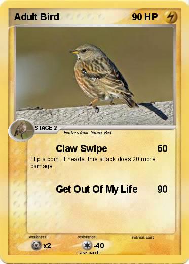 Pokemon Adult Bird