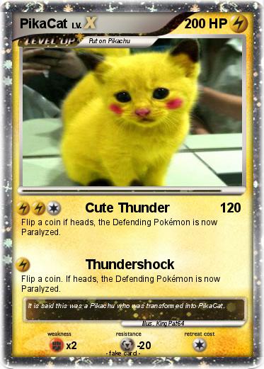 Pokemon PikaCat