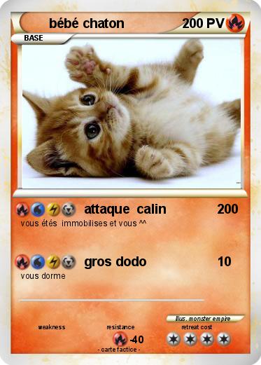 Pokemon bébé chaton