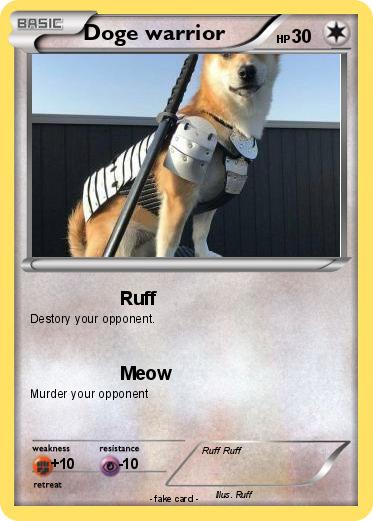 Pokemon Doge warrior