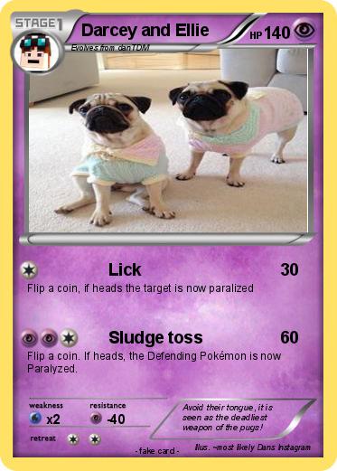 Pokemon Darcey and Ellie