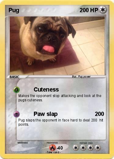 Pokemon Pug