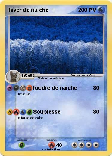 Pokemon hiver de naiche