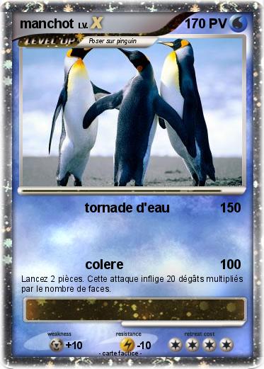 Pokemon manchot