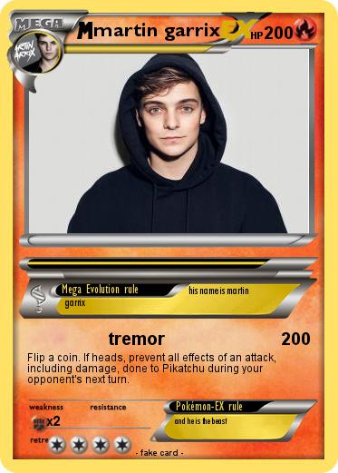 Pokemon martin garrix
