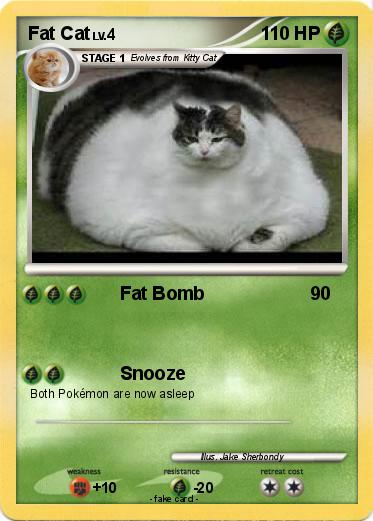 Pokemon Fat Cat