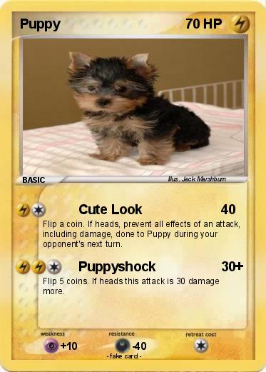 Pokemon Puppy