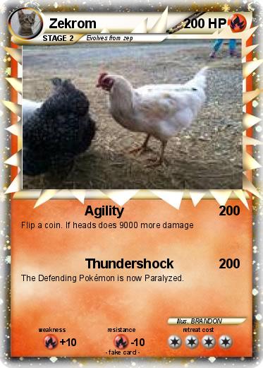 Pokemon Zekrom