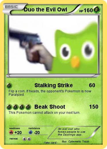 Pokemon Duo the Evil Owl