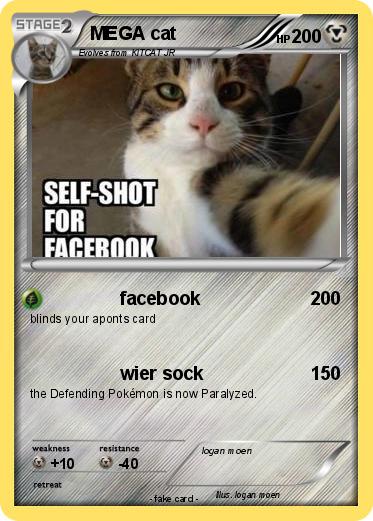 Pokemon MEGA cat
