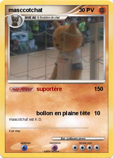 Pokemon masccotchat
