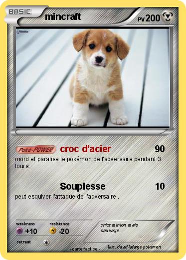 Pokemon mincraft