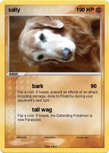 Pokemon sally