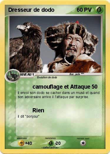 Pokemon Dresseur de dodo