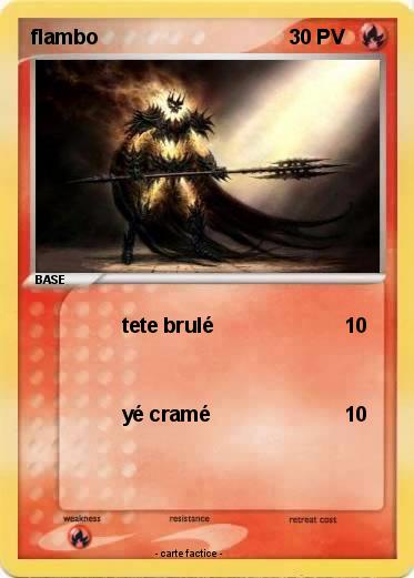 Pokemon flambo