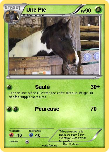 Pokemon Une Pie