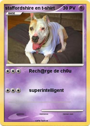Pokemon staffordshire en t-shirt