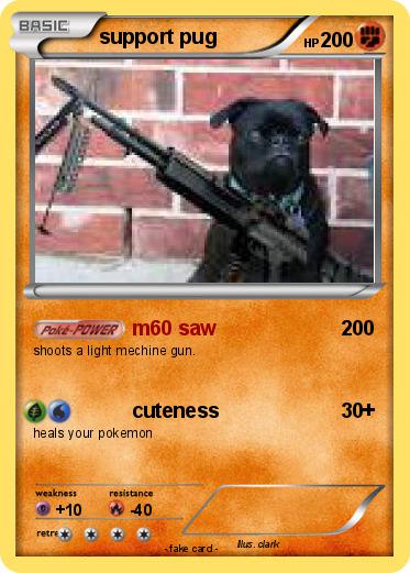 Pokemon support pug