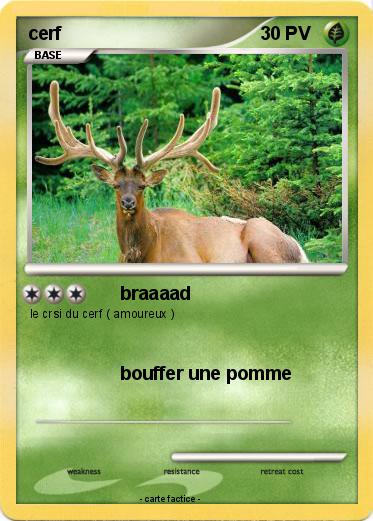 Pokemon cerf