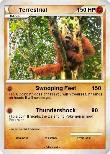 Pokemon Terrestrial