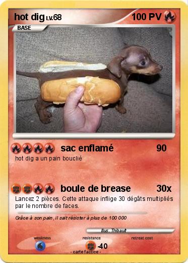 Pokemon hot dig