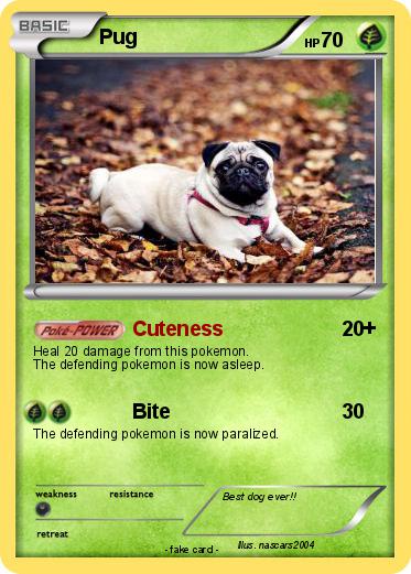 Pokemon Pug