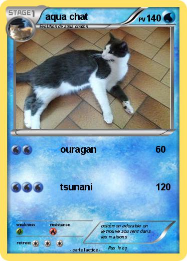 Pokemon aqua chat