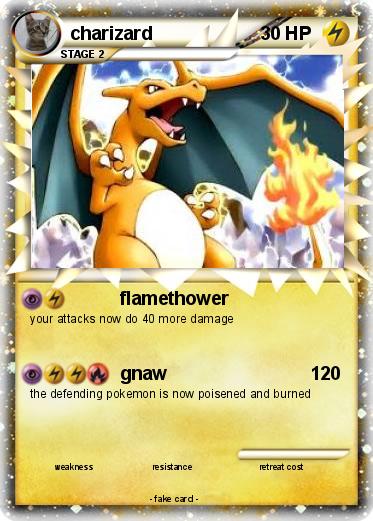 Pokemon charizard