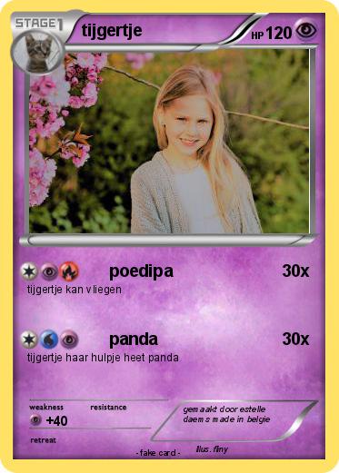 Pokemon tijgertje