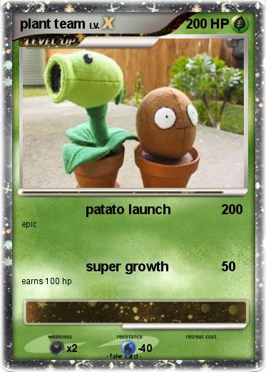 Pokemon plant team