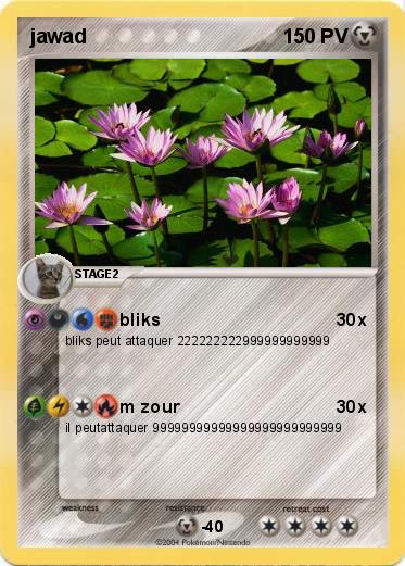 Pokemon jawad