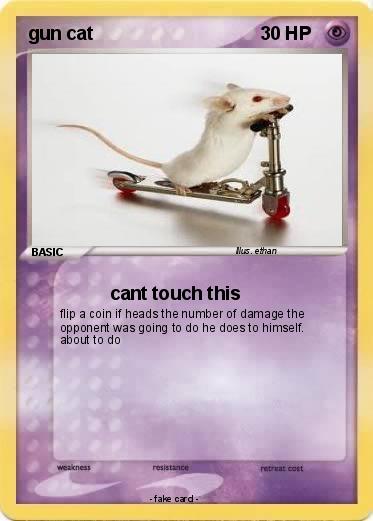 Pokemon gun cat