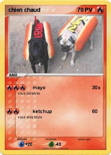 Pokemon chien chaud