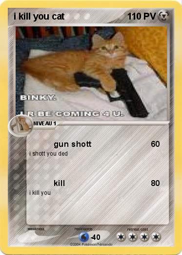 Pokemon i kill you cat
