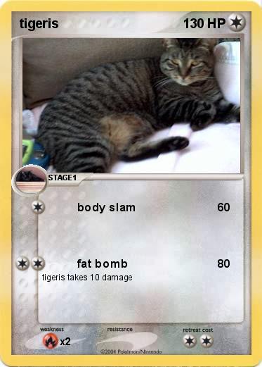 Pokemon tigeris