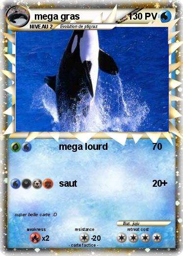 Pokemon mega gras