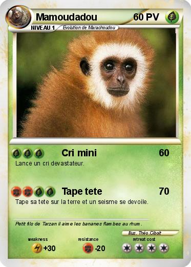 Pokemon Mamoudadou