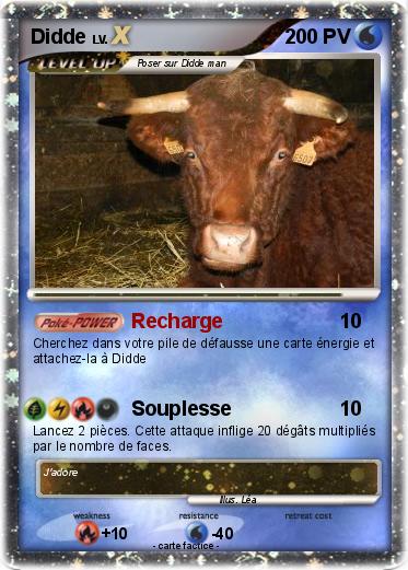 Pokemon Didde