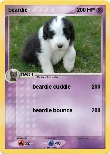 Pokemon beardie