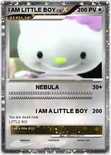 Pokemon I AM LITTLE BOY