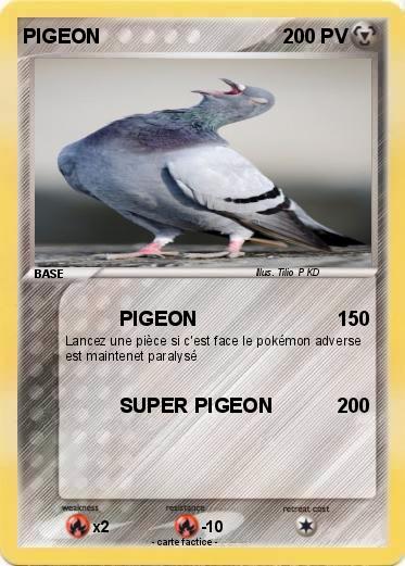 Pokemon PIGEON