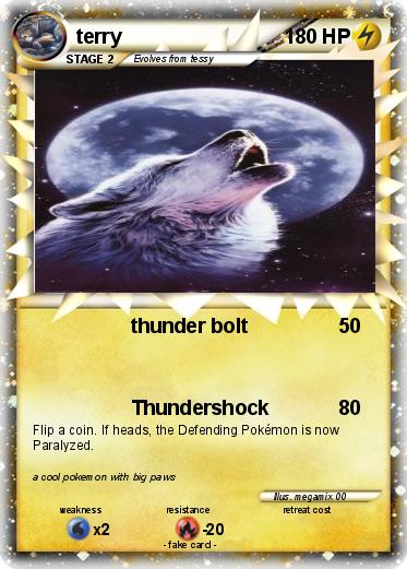 Pokemon terry