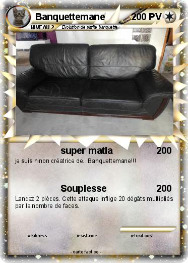 Pokemon Banquettemane