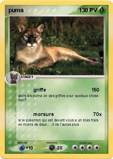 Pokemon puma