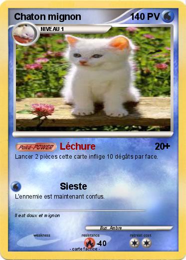 Pokemon Chaton mignon
