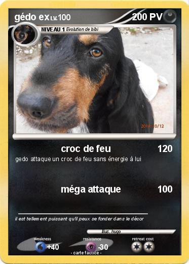 Pokemon gédo ex