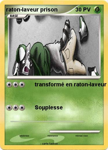 Pokemon raton-laveur prison